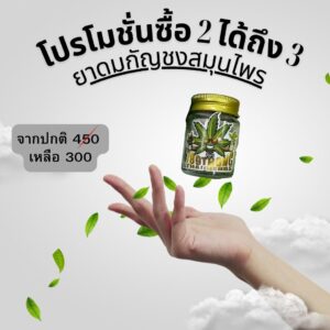 โปโมชั่น ยาดมสมุนไพร